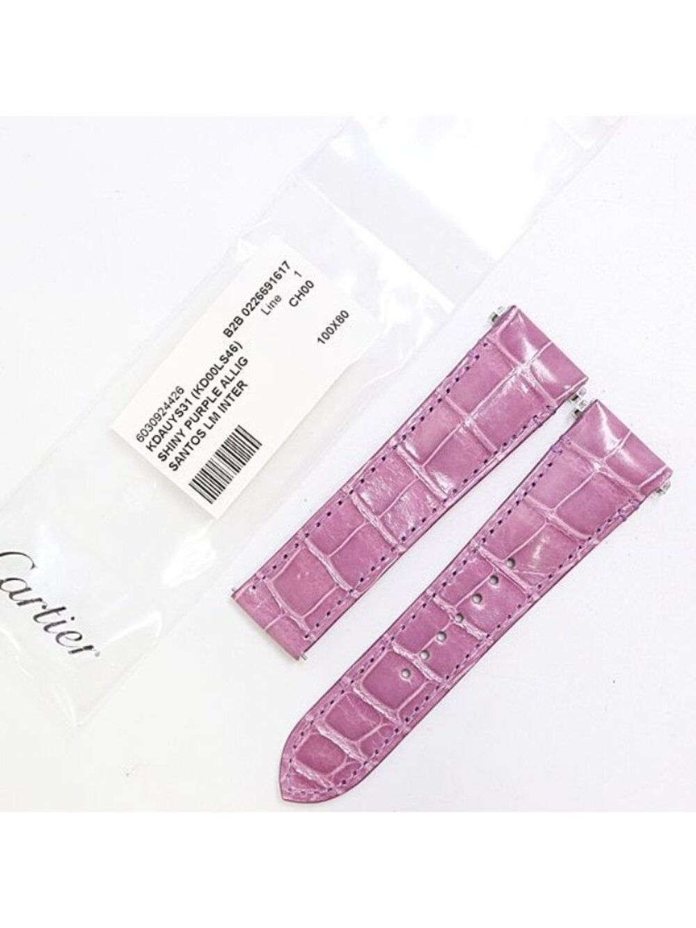 Cartier Santos LM Leather Strap Purple Color 21 Watch
